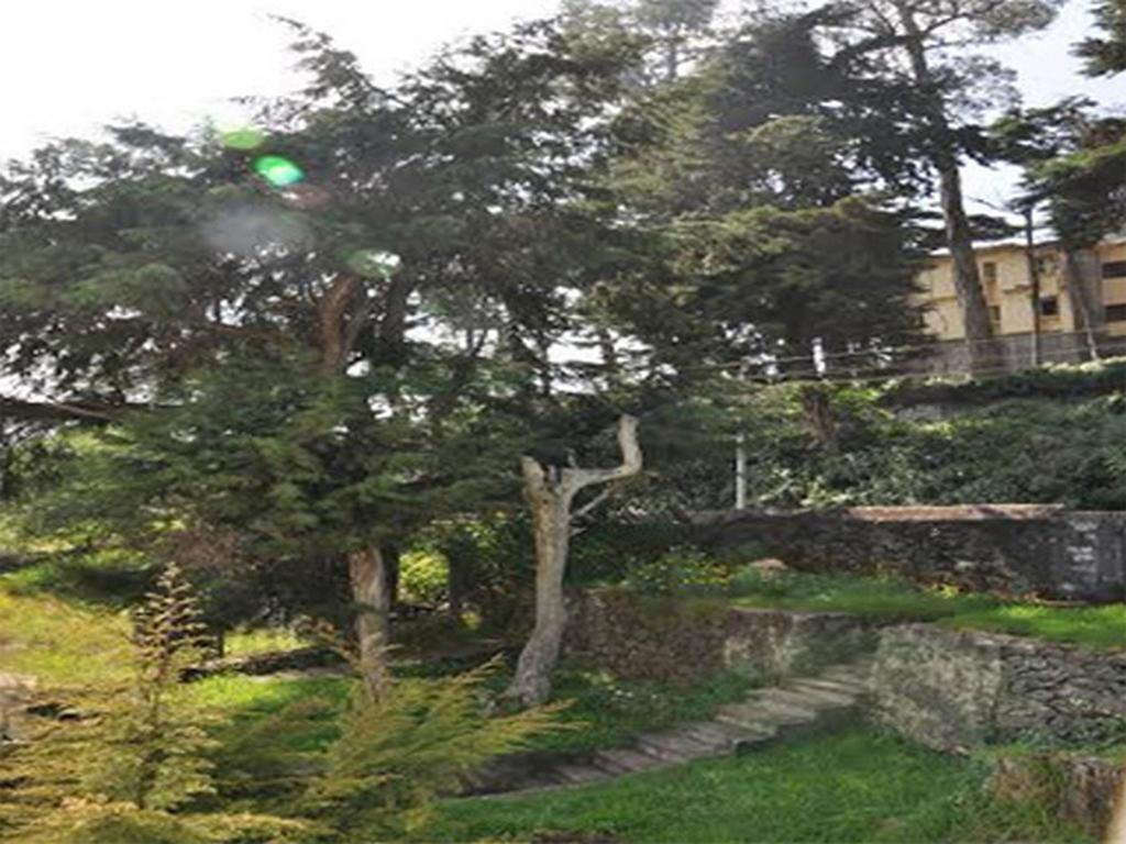 Hill Heaven Home Stay Кодайканал Екстер'єр фото